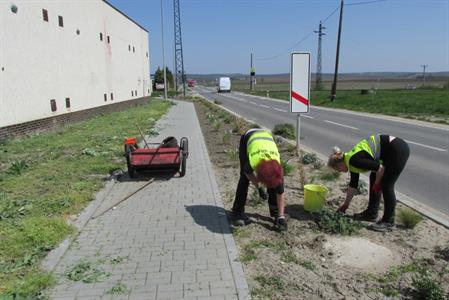 Služby města * Těžká práce při údržbě veřejné zeleně