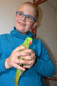 Hobby * Pepík Jílek - dvanáctiletý chovatel papoušků
