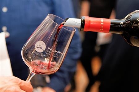 Vinařské akce * Promenáda červených vín 2024 - II.