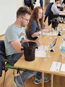  Vinařství & vinařství * Modrohorská pecka 2024 má svého šampiona