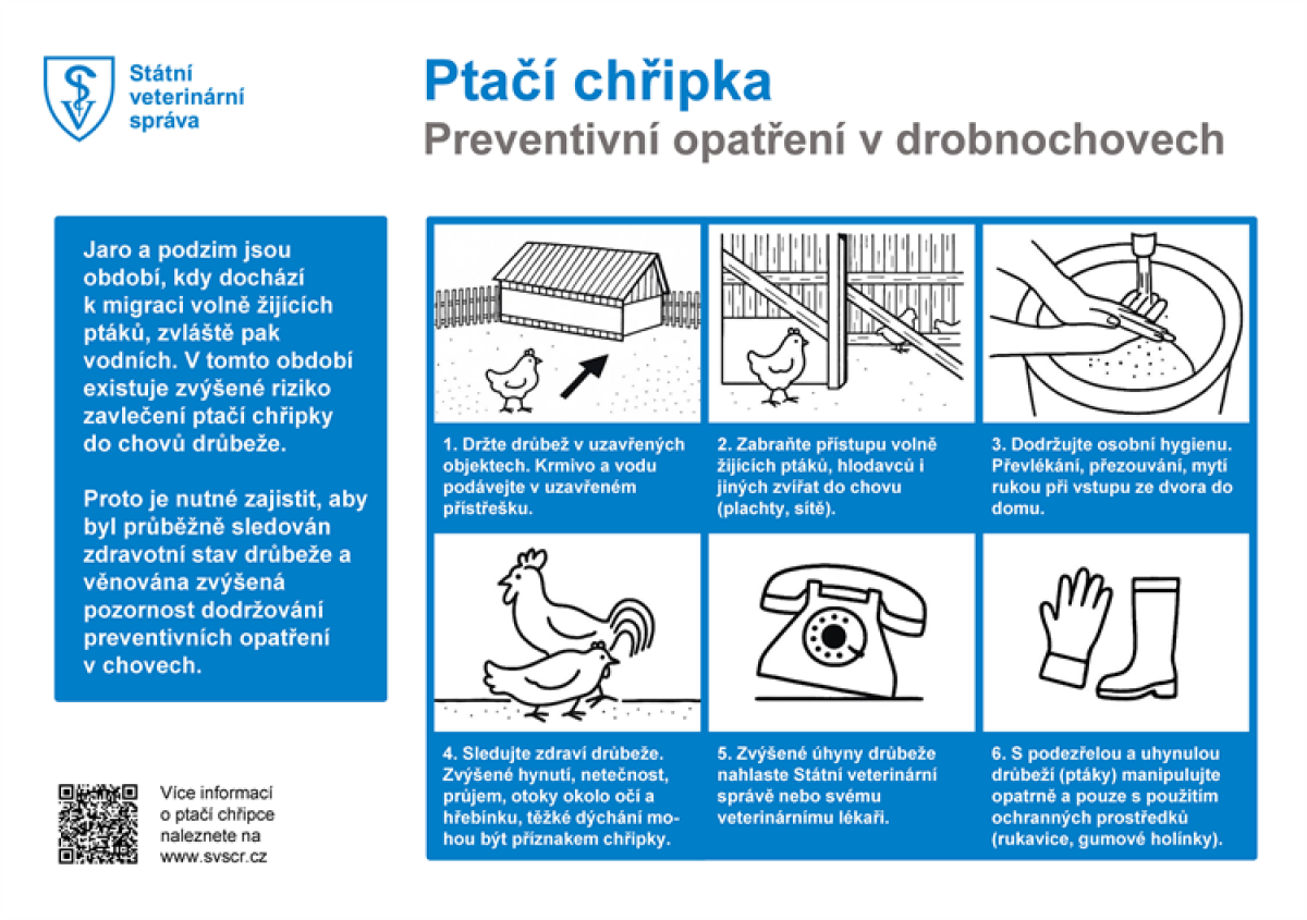 Potvrzená nákaza ptačí chřipky v regionu: informace a doporučení pro chovatele