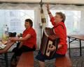 Důchodcům pro lepší náladu vyhrávala harmonika (Foto © 2014 Oldřich Otáhal)
