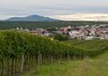 Město Velké Pavlovice