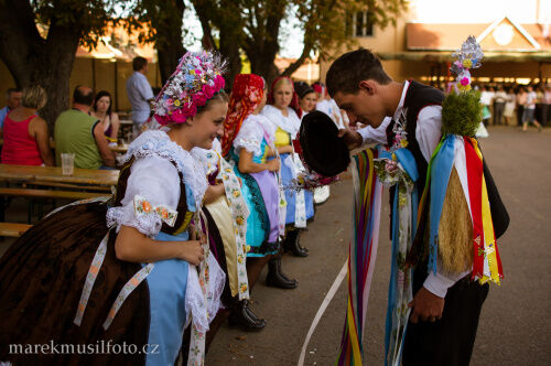 zavádka.jpg