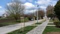 Nové stromořadí na ulici Bří Mrštíků (Foto © 2012 Íng. Zdeněk Karber)