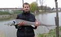 Rybář Zdeněk Hicl se 130 cm dlouhým jeseterem