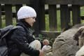 Krmečníčko krmení! ZOO Hodonín (Foto © 2011 Zuzana Bukovská)