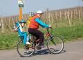 Cyklistice se ve Velkých Pavlovicích daří (Foto © 2011 Ludmila Podešvová)
