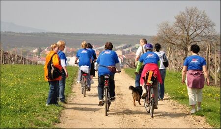 Foto © 2010 František Kobsa