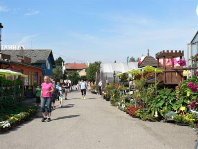 SVČ při ZŠ Velké Pavlovice - Podzimní zájezdy do Moravského krasu a na keramický jarmark do Kunštátu