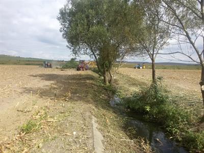 Služby města * Čištění odtokového žlabu z ČOV do Trkmanky