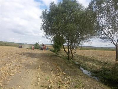 Služby města * Čištění odtokového žlabu z ČOV do Trkmanky