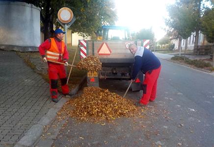 Služby města * Podzimní úklid spadaného listí