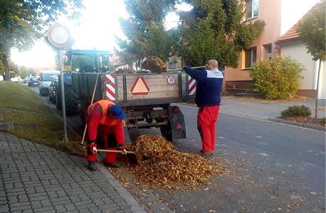 Služby města * Podzimní úklid spadaného listí