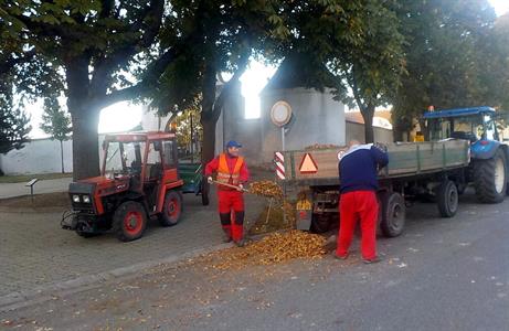 Služby města * Podzimní úklid spadaného listí