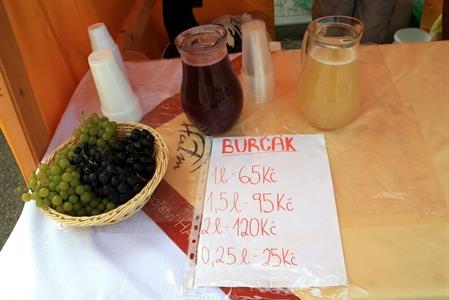 Slavnosti Velkopavlovického vinobraní obrazem 