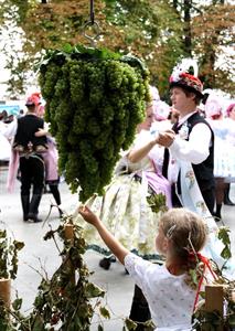 Slavnosti Velkopavlovického vinobraní obrazem 