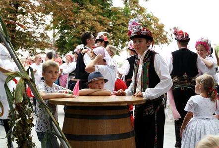 Slavnosti Velkopavlovického vinobraní obrazem 