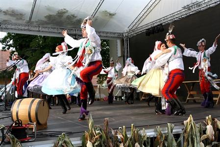 Slavnosti Velkopavlovického vinobraní obrazem 