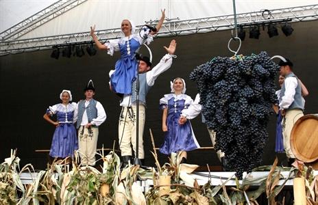 Slavnosti Velkopavlovického vinobraní obrazem 