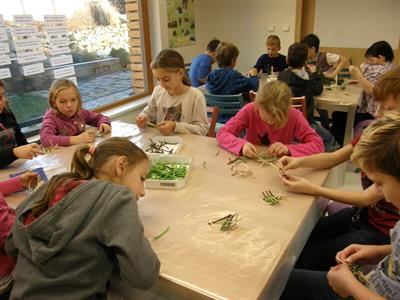 Ekocentrum Trkmanka * Žáci 3. třídy na programu 