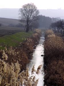 Potok Trkmanka v okolí města Velké Pavlovice