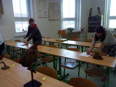 Školní kolo biologické olympiády