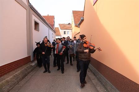 Velkopavlovické ostatky 