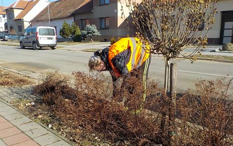 Služby města * Úprava předzahrádek ve vlastnictví města Velké Pavlovice