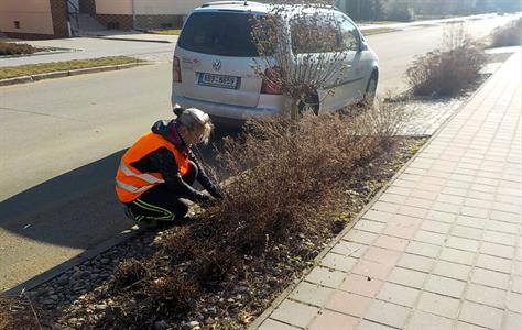 Služby města * Úprava předzahrádek ve vlastnictví města Velké Pavlovice