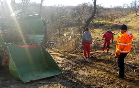 Služby města * Čištění náletů a kácení nebezpečných stromů v Bedříškách