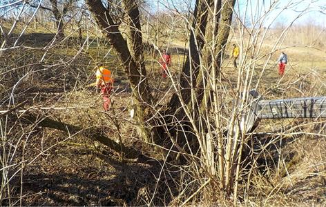 Služby města * Čištění náletů a kácení nebezpečných stromů v Bedříškách