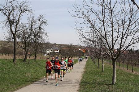 II. ročník BĚHU O VELKOPAVLOVICKOU MERUŇKU 2017