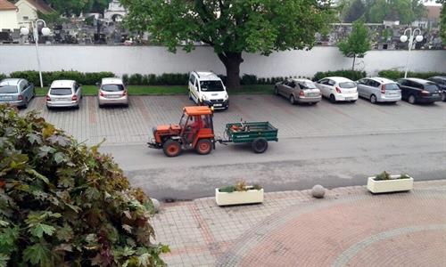 Služby města * Májová údržba zeleně a stromů ve městě