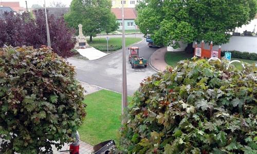 Služby města * Májová údržba zeleně a stromů ve městě