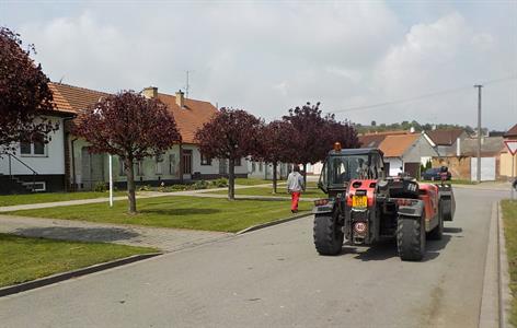 Služby města * Údržba městské zeleně 