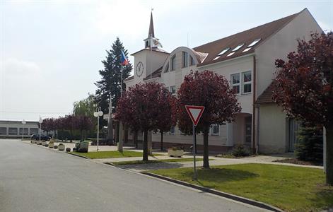 Služby města * Údržba městské zeleně 