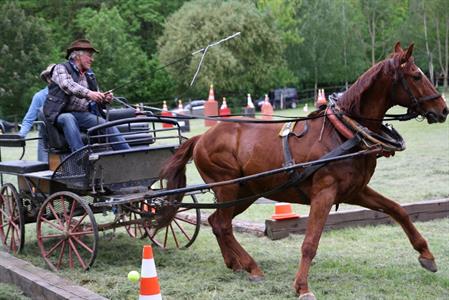 Koňský ranč * II. ročník vozatajských závodů