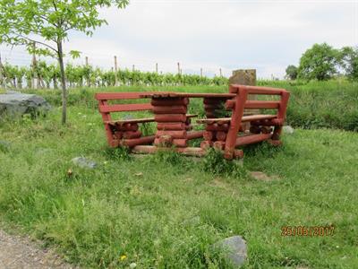Služby města * Údržba zeleně kolem cyklostezek