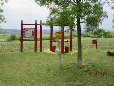 Služby města * Údržba zeleně kolem cyklostezek