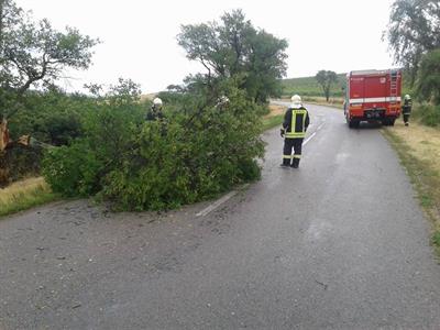 SDH * Likvidace následků letní noční bouře