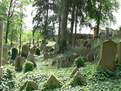 Zájezd s Lenkou Bukovskou * Třebíč - Jaroměřice nad Rokytnou - Dalešická přehrada