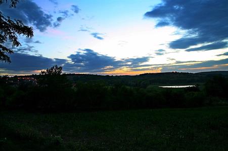 Meruňky - oranžový poklad města Velké Pavlovice