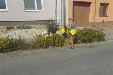 Služby města - Úprava předzahrádek v ulici Pod Břehy