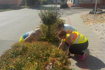 Služby města - Úprava předzahrádek v ulici Pod Břehy