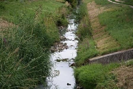 Velké Pavlovice trápí sucho - vyschlé koryto říčky Trkmanky