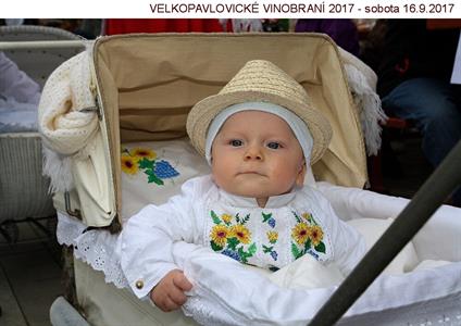 VELKOPAVLOVICKÉ VINOBRANÍ 2017