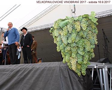 VELKOPAVLOVICKÉ VINOBRANÍ 2017