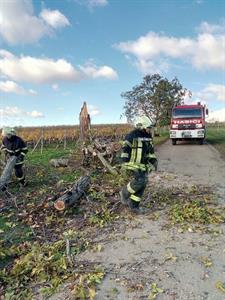 Vichřice způsobila škody i ve Velkých Pavlovicích