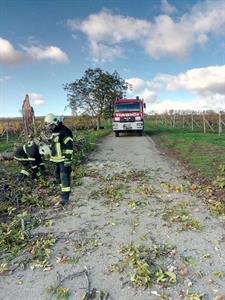 Vichřice způsobila škody i ve Velkých Pavlovicích